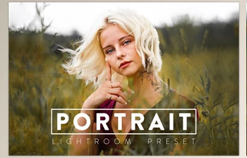 Download 10 PORTRAIT Lightroom Mobile <span class='badge badge-warning'>Preset</span> CreativeMarket-5909830 (XMP, LRTEMPLATE, DNG)