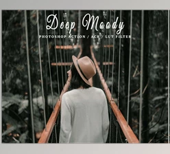 Download 10 Ps Actions ACR LUT Deep Moody CreativeMarket-6114018 (XMP, CUBE, ATN)