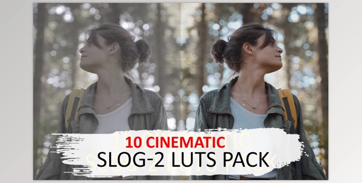 Download 10 Cinematic Slog-2 Luts CreativeMarket-5525741 (cube)