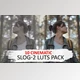 Download 10 Cinematic Slog-2 Luts CreativeMarket-5525741 (cube)