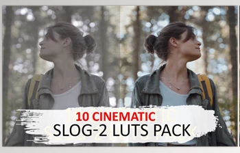 Download 10 <span class='badge badge-warning'>Cinematic</span> Slog-2 Luts CreativeMarket-5525741 (cube)