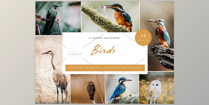 Download 14 x Lightroom Presets, Birds CreativeMarket-6071305 (XMP, DNG, LRTemplate)