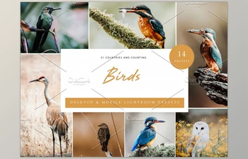 Download 14 x <span class='badge badge-warning'>Lightroom</span> <span class='badge badge-warning'>Presets</span>, Birds CreativeMarket-6071305 (<span class='badge badge-warning'>XMP</span>, <span class='badge badge-warning'>DNG</span>, LRTemplate)