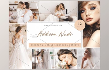 Download 12 x Lightroom Presets, Addison <span class='badge badge-warning'>Nude</span> CreativeMarket-5962787 (XMP, DNG, LRTEMPLATE)