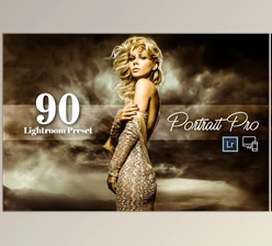 Download 90 Portrait Pro Lightroom Preset CreativeMarket-6072982 (XMP)