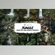 Download Jungle Lightroom Presets CreativeMarket-5953542 (DNG)