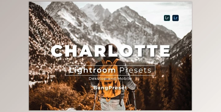 Download Filtergrade – Charlotte Desktop and Mobile Lightroom Preset (XMP, DNG)