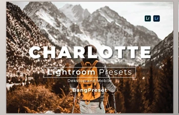 Download Filtergrade – Charlotte Desktop and Mobile Lightroom Preset (<span class='badge badge-warning'>XMP</span>, DNG)
