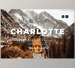 Download Filtergrade – Charlotte Desktop and Mobile Lightroom Preset (XMP, DNG)
