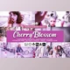 Download Cherry Blossom Lightroom Presets CreativeMarket-5156501 (XMP, Lrtemplate, DNG, PS)