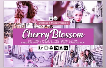 Download Cherry Blossom <span class='badge badge-warning'>Lightroom</span> <span class='badge badge-warning'>Presets</span> CreativeMarket-5156501 (<span class='badge badge-warning'>XMP</span>, Lrtemplate, <span class='badge badge-warning'>DNG</span>, PS)