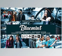 Download Bluemint Lightroom Presets CreativeMarket-5156444 (XMP, Lrtemplate, DNG, PS)
