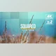 Download Squared Intro (Videohive 21127349) - AE Project