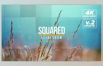 Download Squared <span class='badge badge-warning'>Intro</span> (<span class='badge badge-warning'>Videohive</span> 21127349) - AE Project