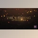 Download Wedding Opener (Videohive 28061535)