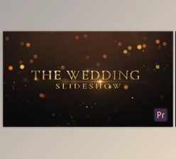 Download Wedding Opener (Videohive 28061535)
