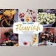 Download Flourish Lightroom Presets by Din-Studio (Desk, Mob)