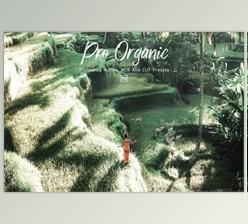 Download 10 Pro Organic Photoshop Actions, ACR, LUT Presets by 3Motional (atn, xmp, cube)