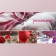 Download Wedding Intro - Premiere Pro (Videohive 22544587) - PR Project