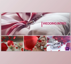 Download Wedding Intro - Premiere Pro (Videohive 22544587) - PR Project