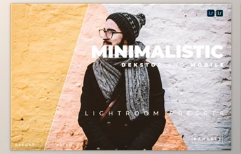 Download Minimalistic Desktop and Mobile Lightroom <span class='badge badge-warning'>Preset</span> by Bangset