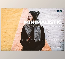 Download Minimalistic Desktop and Mobile Lightroom Preset by Bangset