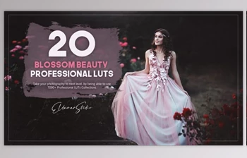 Download 20 Blossom Beauty LUTs Pack by Eldamar <span class='badge badge-warning'>Studio</span>