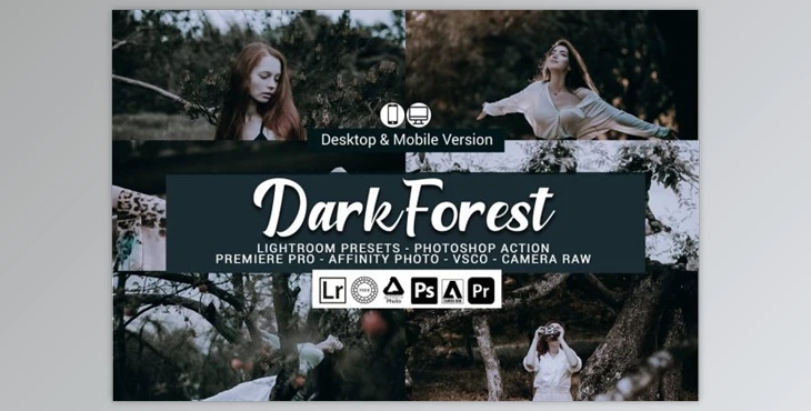 Download Dark Forest Lightroom Presets and LUTs By DreamColor