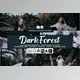 Download Dark Forest Lightroom Presets and LUTs By DreamColor