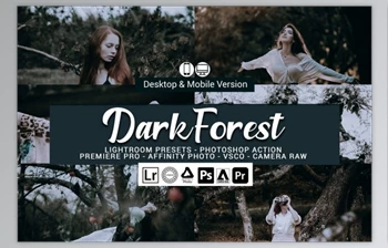 Download Dark Forest Lightroom Presets and <span class='badge badge-warning'>LUTs</span> By DreamColor