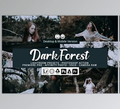 Download Dark Forest Lightroom Presets and LUTs By DreamColor