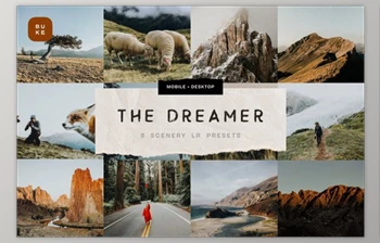 Download The Dreamer – <span class='badge badge-warning'>8</span> Lightroom Presets By BukeShop