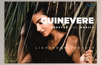 Download Guinevere Desktop and Mobile Lightroom <span class='badge badge-warning'>Preset</span> by Bangset