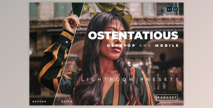 Download Ostentatious Desktop and Mobile Lightroom Preset by Bangset