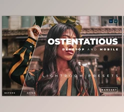 Download Ostentatious Desktop and Mobile Lightroom Preset by Bangset