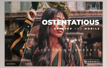 Download Ostentatious Desktop and Mobile Lightroom <span class='badge badge-warning'>Preset</span> by Bangset
