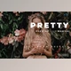 Download Pretty Desktop and Mobile Lightroom Preset by Bangset