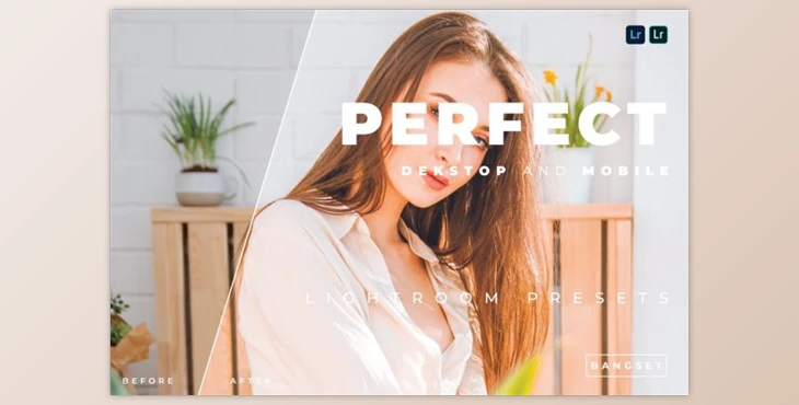 Download Perfect Desktop and Mobile Lightroom Preset by Bangset