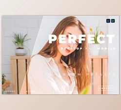 Download Perfect Desktop and Mobile Lightroom Preset by Bangset