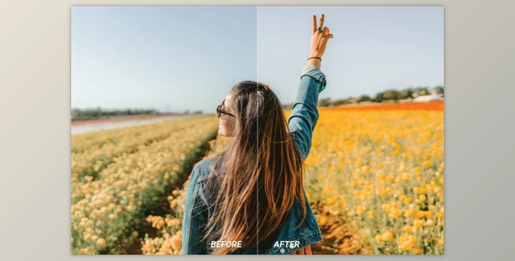 Download Natural Mobile and Desktop Lightroom Presets by Laksmitagraphics