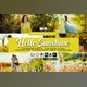 Download Hello Sunshine Lightroom Presets By DreamColor