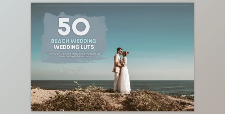 Download 50 Beach Wedding LUTs Pack By Eldamar Studio