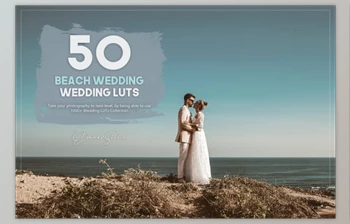 Download 50 Beach Wedding LUTs Pack By Eldamar <span class='badge badge-warning'>Studio</span>
