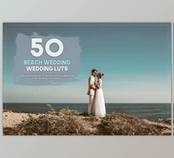 Download 50 Beach Wedding LUTs Pack By Eldamar Studio