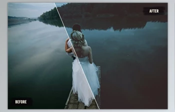 Download 50 Avantgarde Wedding LUTs Pack By Eldamar <span class='badge badge-warning'>Studio</span>