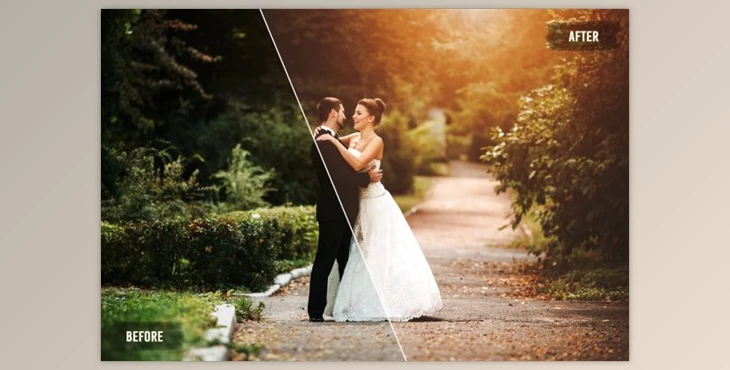 Download 20 Retro Wedding LUTs Pack By Eldamar Studio