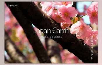 Download JAPAN EARTH <span class='badge badge-warning'>PRESETS</span> By VogViswall