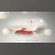 Download Wedding Invitation (Videohive 31980377) - AE Project