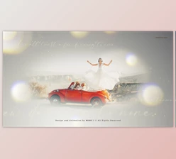 Download Wedding Invitation (Videohive 31980377) - AE Project