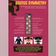 Download AD Brutus Symmetry Panel for Adobe Photoshop